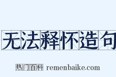 无法释怀造句是什么意思的图片